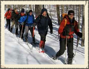 Snowshoe Group