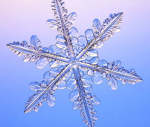 Snowflake Background