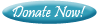 Donate now icon