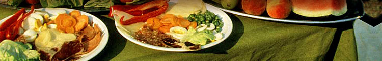 fancy-meals-header.jpg