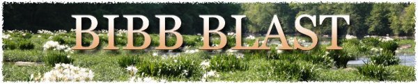 Bibb Blast