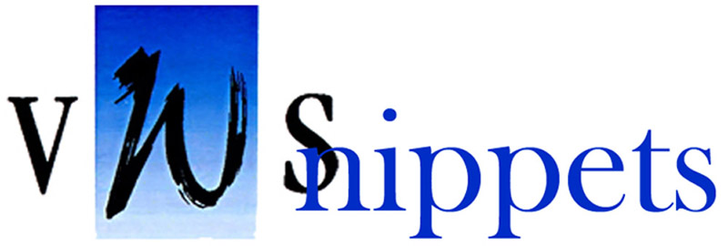 vws email logo