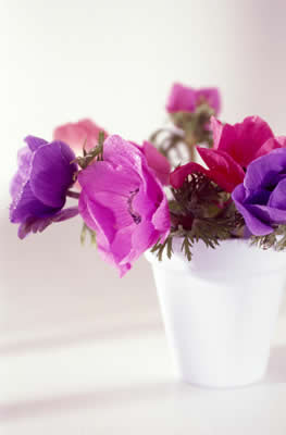 purple-flower-vase.jpg