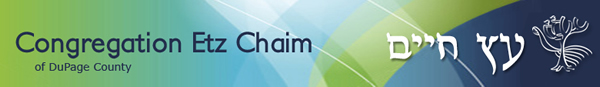 2011 header logo