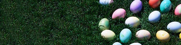 easter-eggs-grass-header.jpg