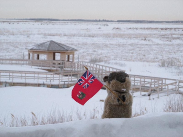 Manitoba Merv