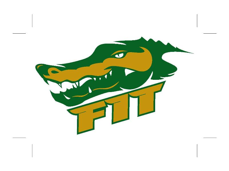 FIT new logo
