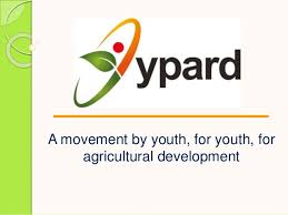 YPARD logo