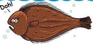 Fish Fry Fish