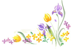 watercolor-flower-corner.jpg