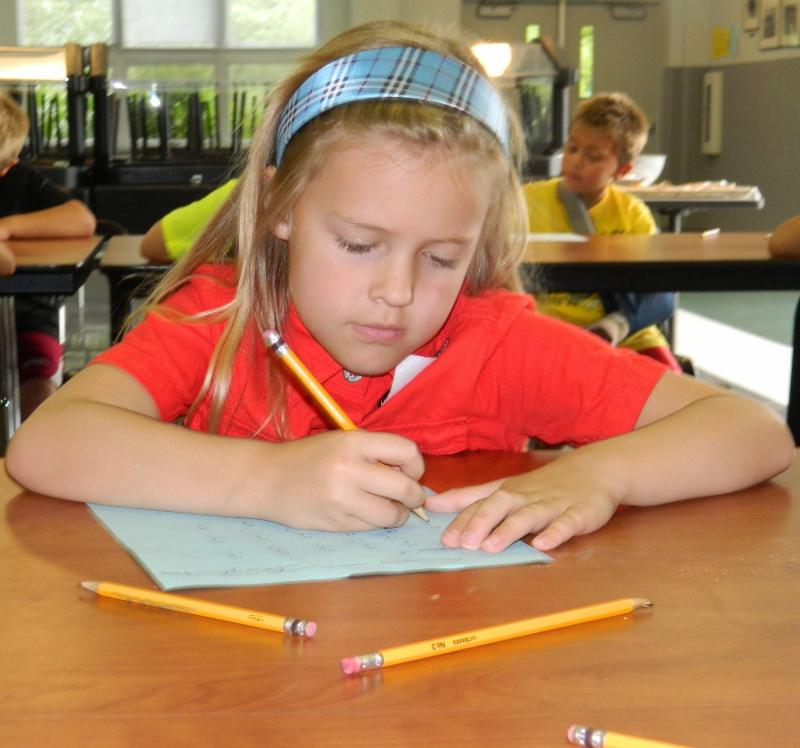 Math Fact Scholars