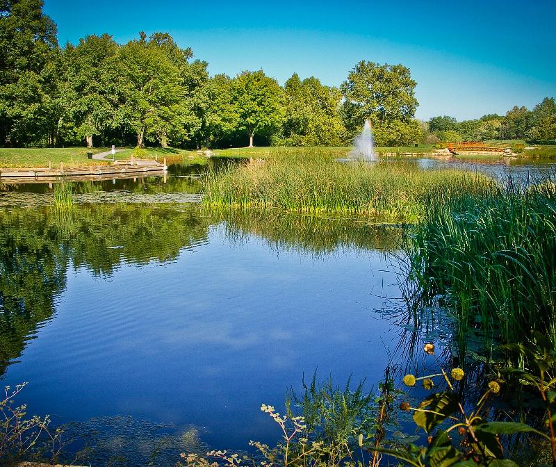 DP Park