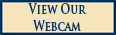Webcam button