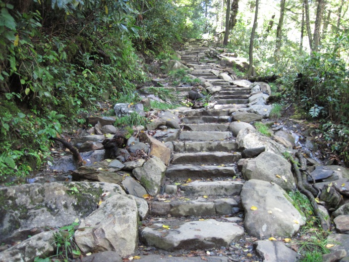 chimney top trail rehab after