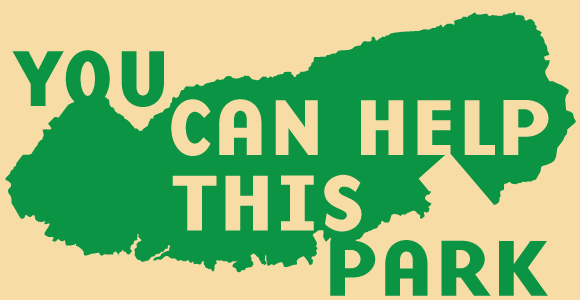 new membership logo plain