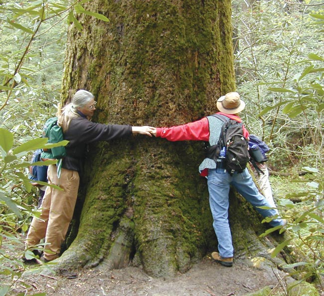 tree huggers