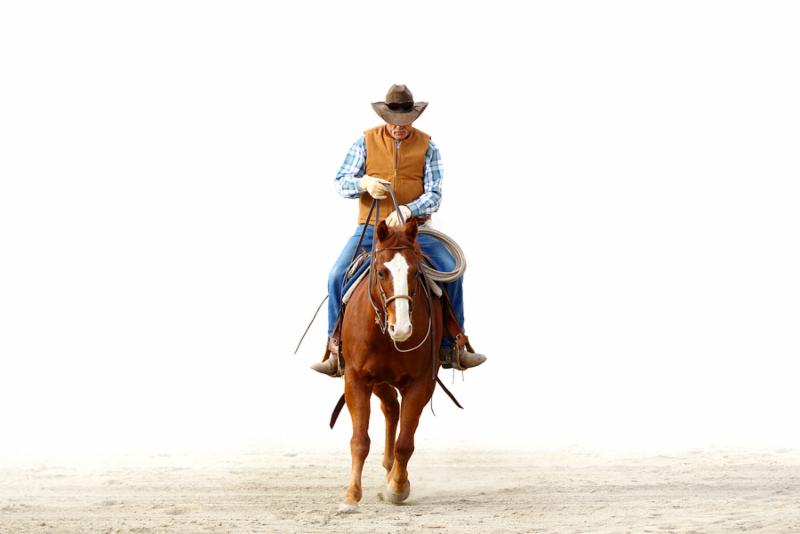 A photo of a real cowboy riding his horse in an isolated white  background for text.
