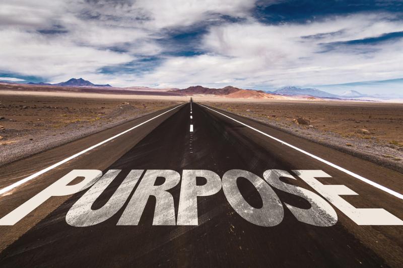 Purpose written on desert road