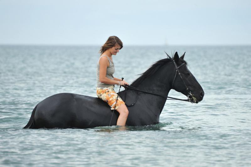 beautiful black horse in the sea and beautiful woman