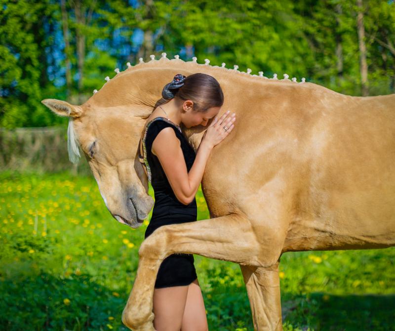 A girl is hugging a palomino horse     Note  Soft Focus at 100 , best at smaller sizes