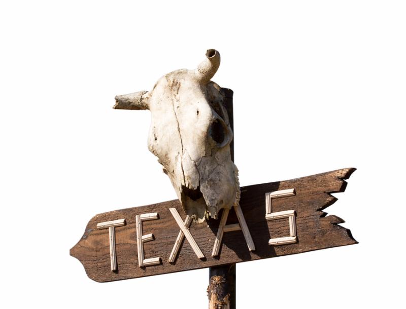 Texas sign with Old horse skull isolated on white