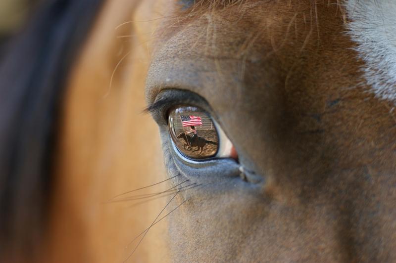 A close up picture of a rodeo horse with a reflection of a cowgirl riding through an arena with an American Flag in its eye.     Note  Shallow depth of field