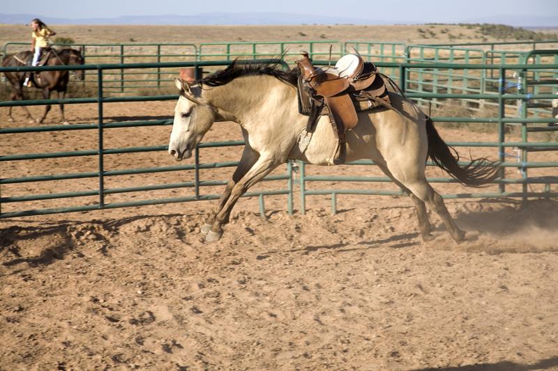 A horse bucking and jumping around in a corral.