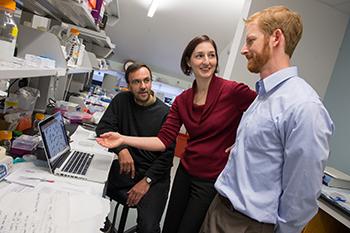 Researchers Jay Henderson Lisa Manning and Christopher Turner in the Syracuse Biomaterials Institute Lab.
