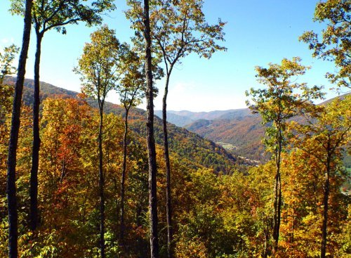 NC Fall View