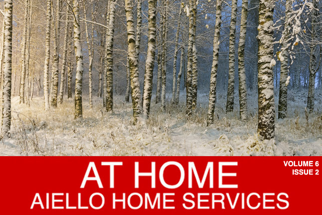 Aiello Savings 2016