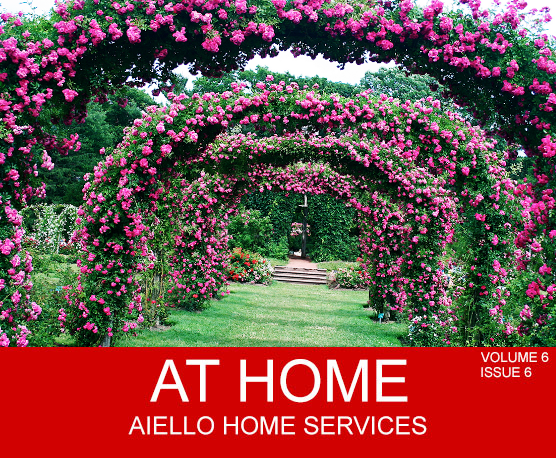 Aiello Home Services special pre-season air conditioning savings offer