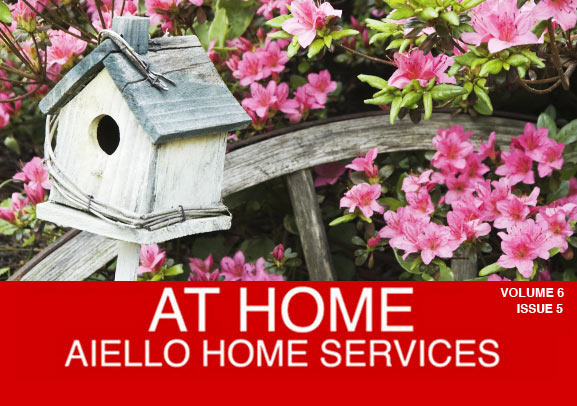 Aiello Home Energy Savings Offers May 2016