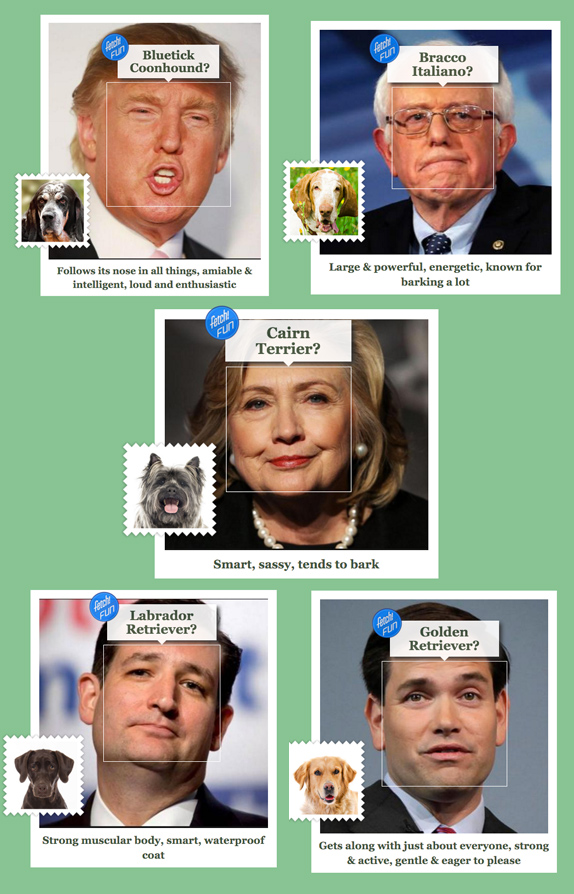 Best Heating _ Plumbing Companies in CT