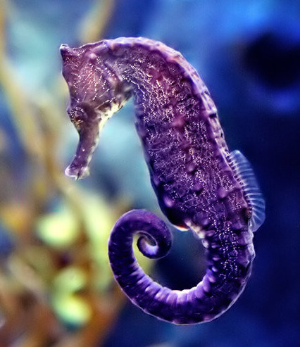 Home Comfort Heating ANd Cooling System Special Savings CT