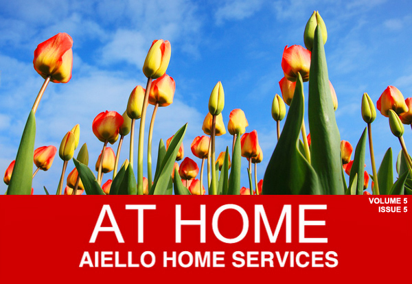 Aiello Home Services May 2015 Special Offers