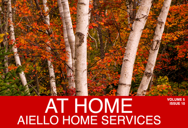 Aiello At Home October 2015 Savings