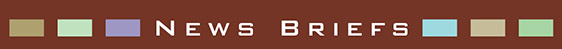 News Briefs February 2013