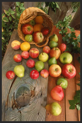 fruit-basket.jpg