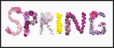 spring-word-flowers.jpg