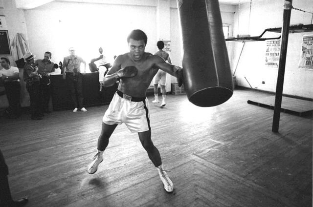 555613a0 a7db 44ea 88f4 86429c03832d