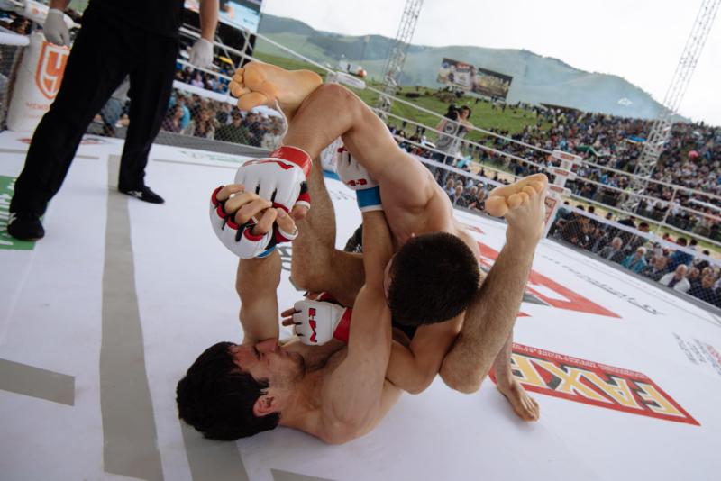 faf30841 779b 476e 81fa 7ee281c9649f