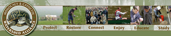 MCWA Banner