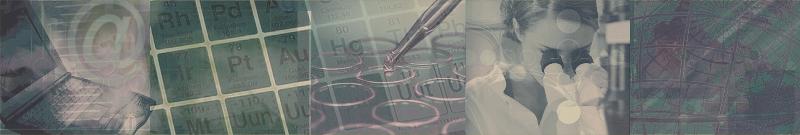 Call For Papers Header