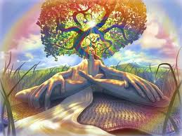 meditate multicolor