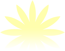 yellow-flower-graphic.gif