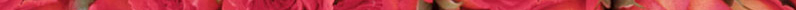 roses-banner.jpg