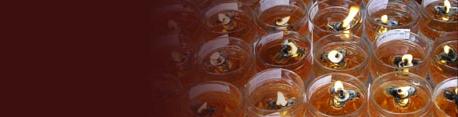 small-candles-banner.jpg
