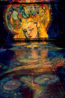 sOPHIA eMERGING