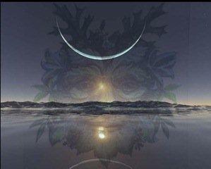 Solstice Picture