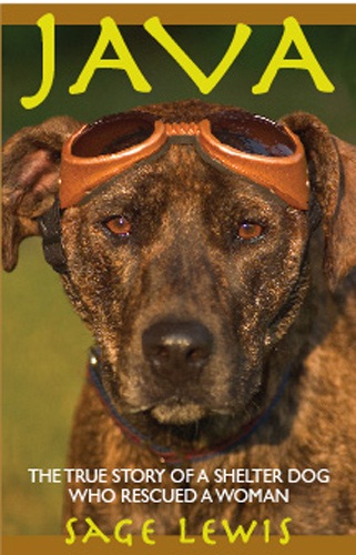 JavaFrontCover
